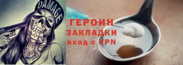 индика Каменка
