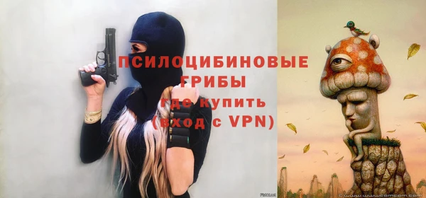 твердый Абинск