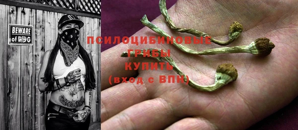 твердый Абинск