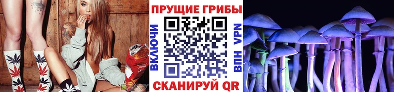 купить наркотик Туран Псилоцибиновые грибы мицелий